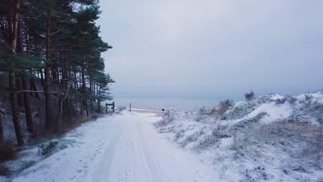 beautiful aerial establishing view of baltic sea coast on a overcast winter day, beach with white sand covered by snow, coastal erosion, climate changes, wide angle drone shot moving forward