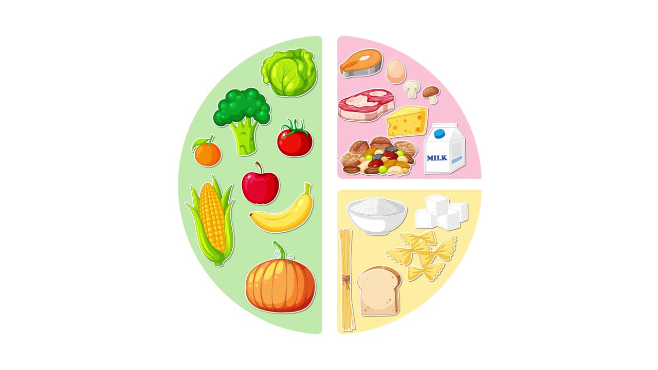 Colorful food group pie chart fills smoothly, illustrating balanced nutrition, with simple flat graphics