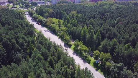 aerial view of road through forest and cityscape