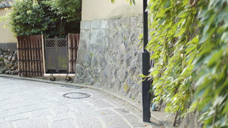 esquina de la calle de la ciudad con hojas verdes colgando de las paredes de piedra en kyoto, japón iluminación suave