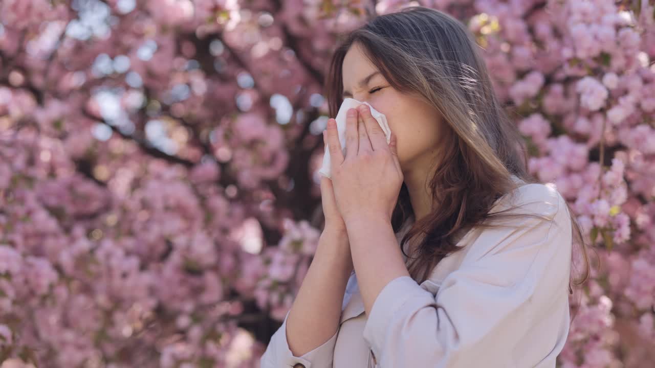 Woman Sneezing Under Cherry Blossom Trees