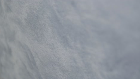 close-up of a textured gray surface