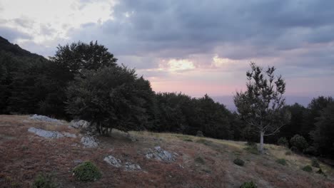 video de drones sobre árboles en pato que revela una hermosa montaña nublada al atardecer
