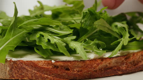 preparing a delicious cheese and arugula sandwich