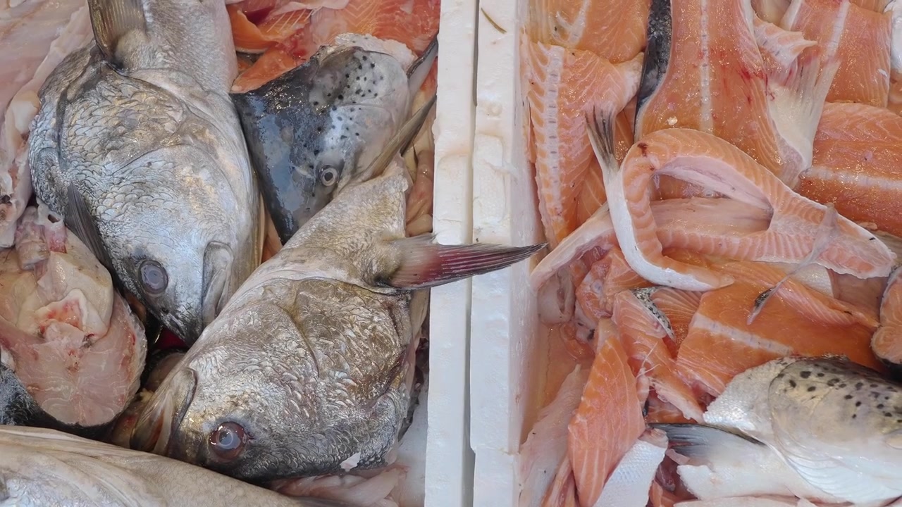Fishmonger Arranging Fresh Fish Fillets and Whole Fish at Market