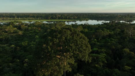 Luftdrohnenflugansicht-Des-Malerischen-Sonnenaufgangs-Im-Tropischen-Dschungelregenwald-Des-Amazonas-Mit-Lebhaften-Nebelstrahlen-Am-Morgen-In-Der-Nähe-Eines-Flusssees