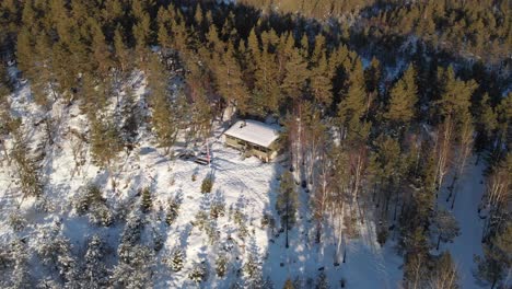 Vista-Aérea-De-La-Cabaña-Típica-Con-Pinos-Durante-El-Invierno-En-Kragerø,-Telemark,-Noruega