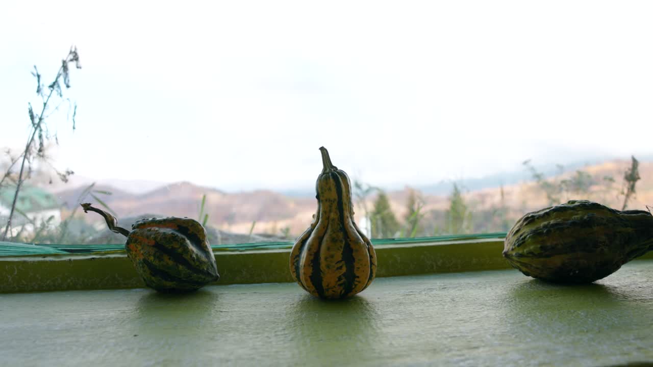 Three Small Gourds Rest on a Windowsill With Soft Mountain Views in the Background in Amfiteatrul Transilvania, Moieciu de Sus, Brașov County, Romania - Close Up