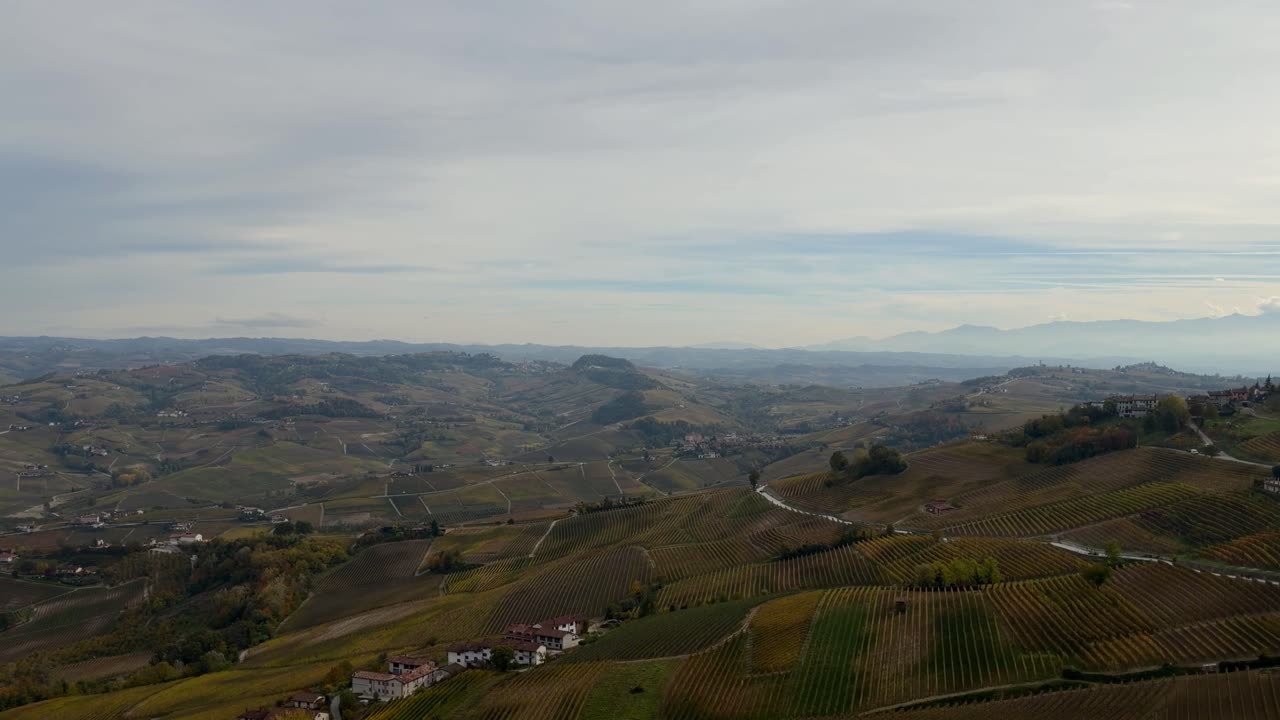 Vista aerea dei vigneti delle Langhe in Piemonte, Italia, sotto un cielo nuvoloso. Il paesaggio è caratterizzato da