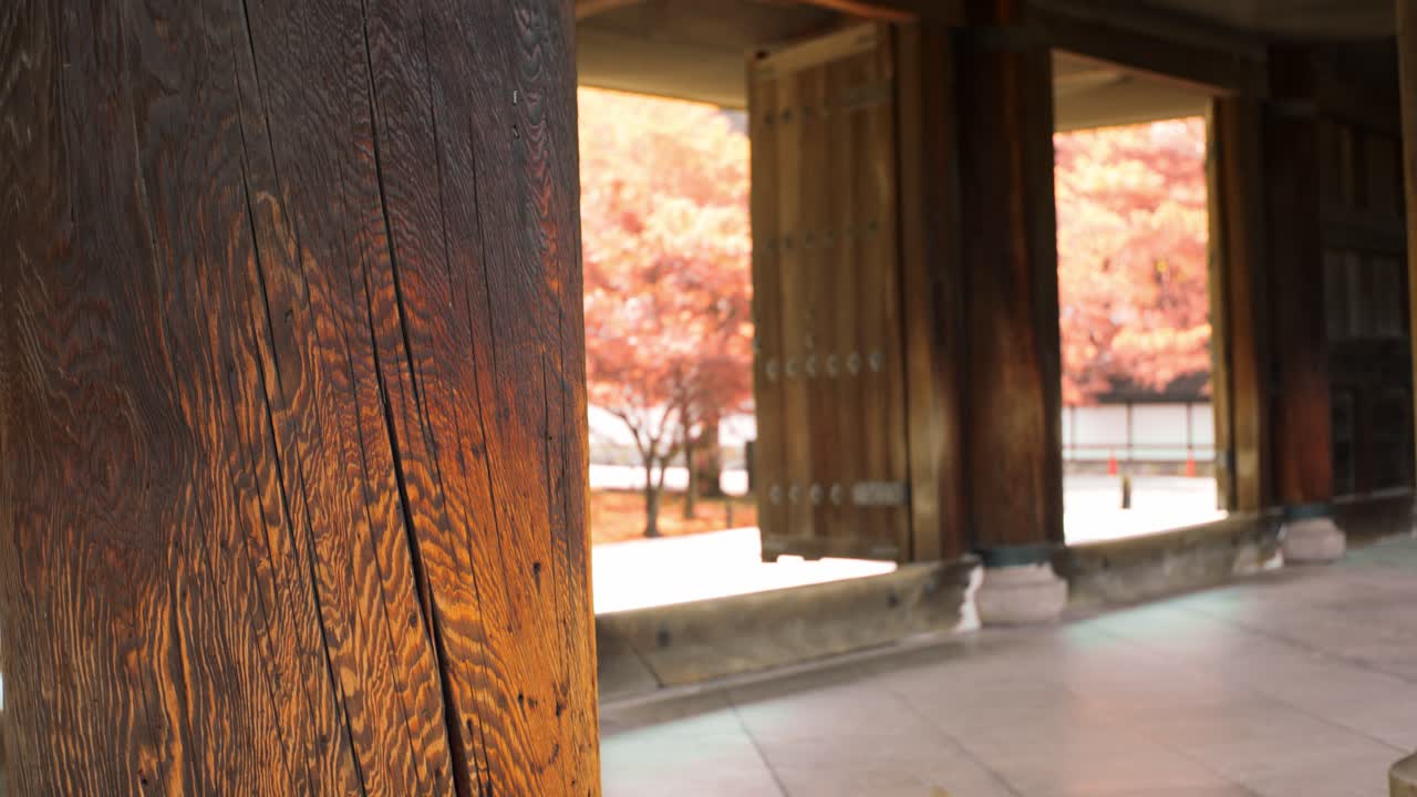 Inside of a shrine with big pillars in the autumn season with orange leaves in Kyoto, Japan soft lighting slow motion 4K