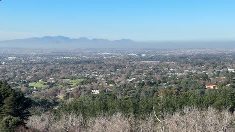 looking out over the cape peninsula from cecilia forest in constantia, cape town