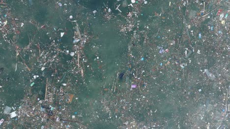 Low-altitude-top-down-drone-shot-of-polluted-water-filled-with-trash-floating-over-dead-coral-reef-in-the-turqouise-tropical-water-of-Bali-Indonesia