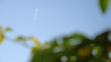 Drohne-Fliegt-Am-Blauen-Himmel-Mit-Einem-Flugzeug-Im-Hintergrund-Vom-Boden-In-Frankreich-In-Zeitlupe-Mit-Pflanzen-Im-Vordergrund-Mit-Bokeh