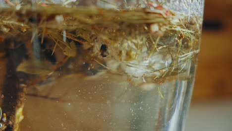 close up shot, pouring distilled gin into a glass bottle with aromatic dried spice herbs