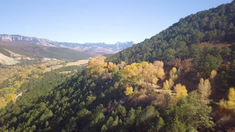 toma aérea disparando a la ladera de una montaña y un valle con álamos calientes