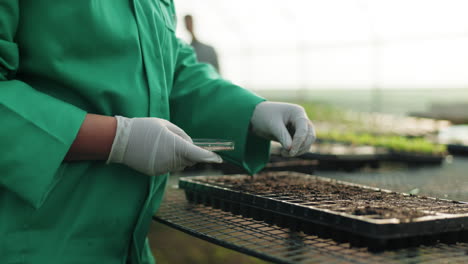 Greenhouse,-farming-and-hands-planting-seeds