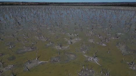 vista aérea del lecho seco del lago después del calor en verano