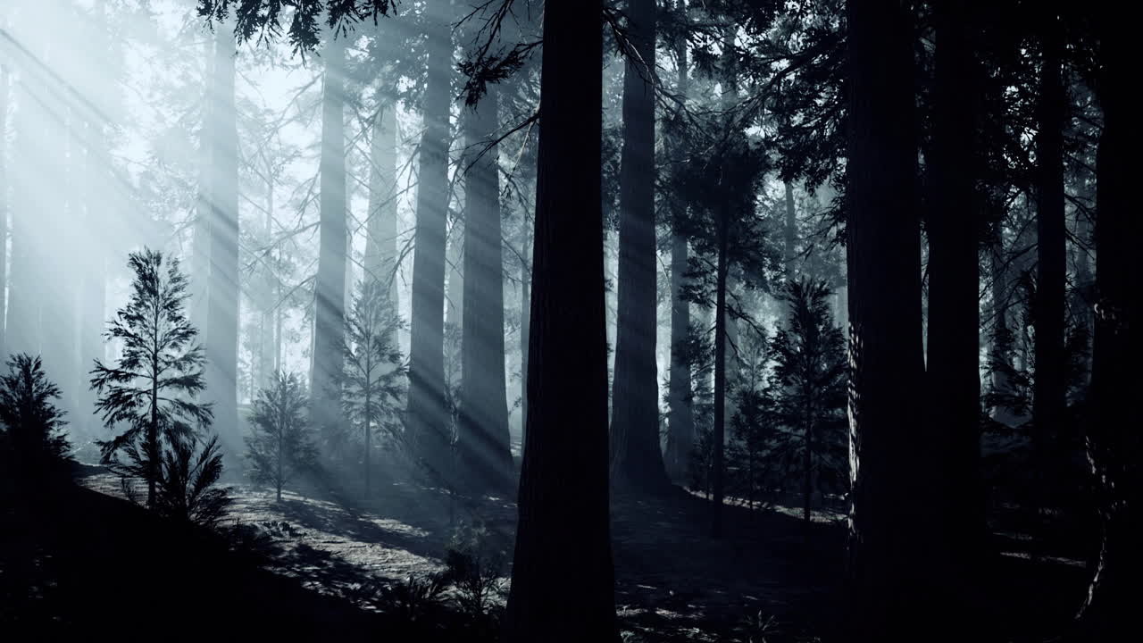 Mystical light filtering through trees in a serene forest setting