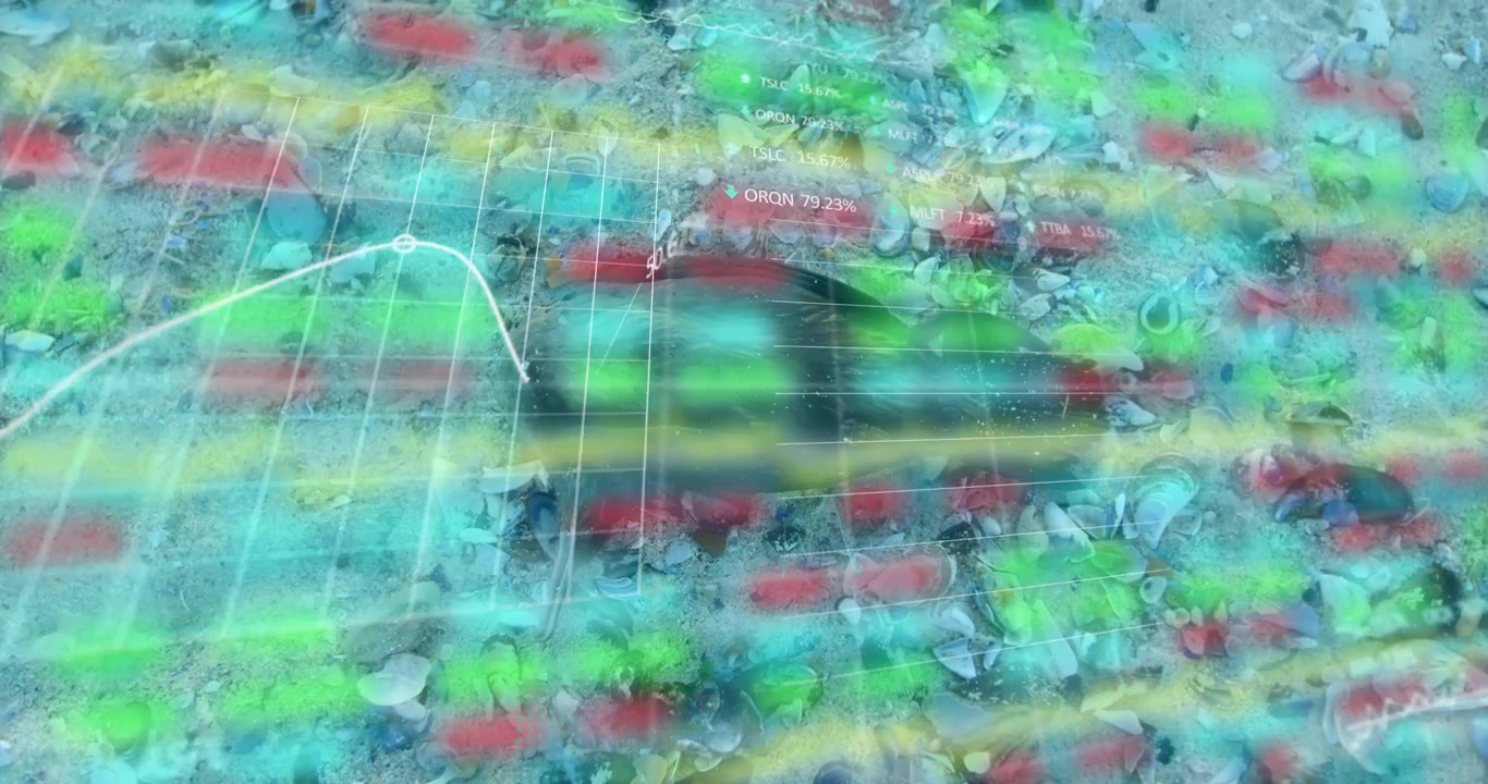 Animation of multiple graphs and trading board on overhead view of waste on beach