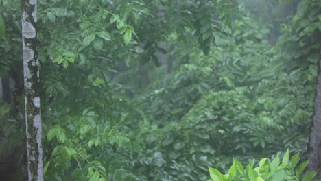 in the rainy season, eastern india receives heavy rainfall during the rainy season