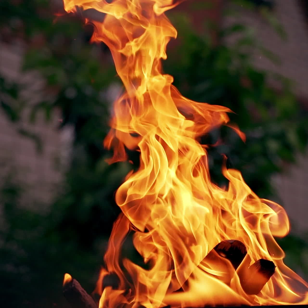 Excellent view on wood burning with orange fire flame outdoors. Natural texture of bright fire on blur building background in the evening.