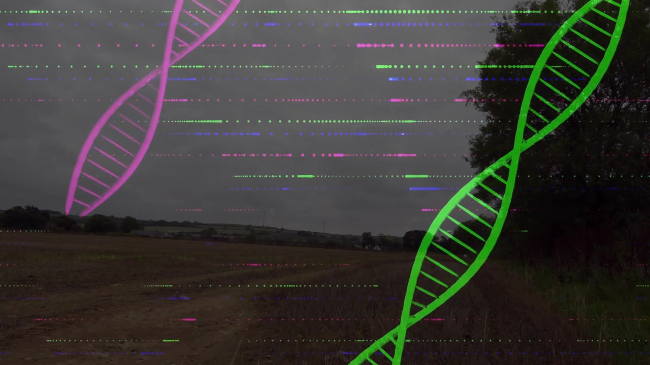 On start field magenta helix descending as green helix ascending, glitch illustrating data flow