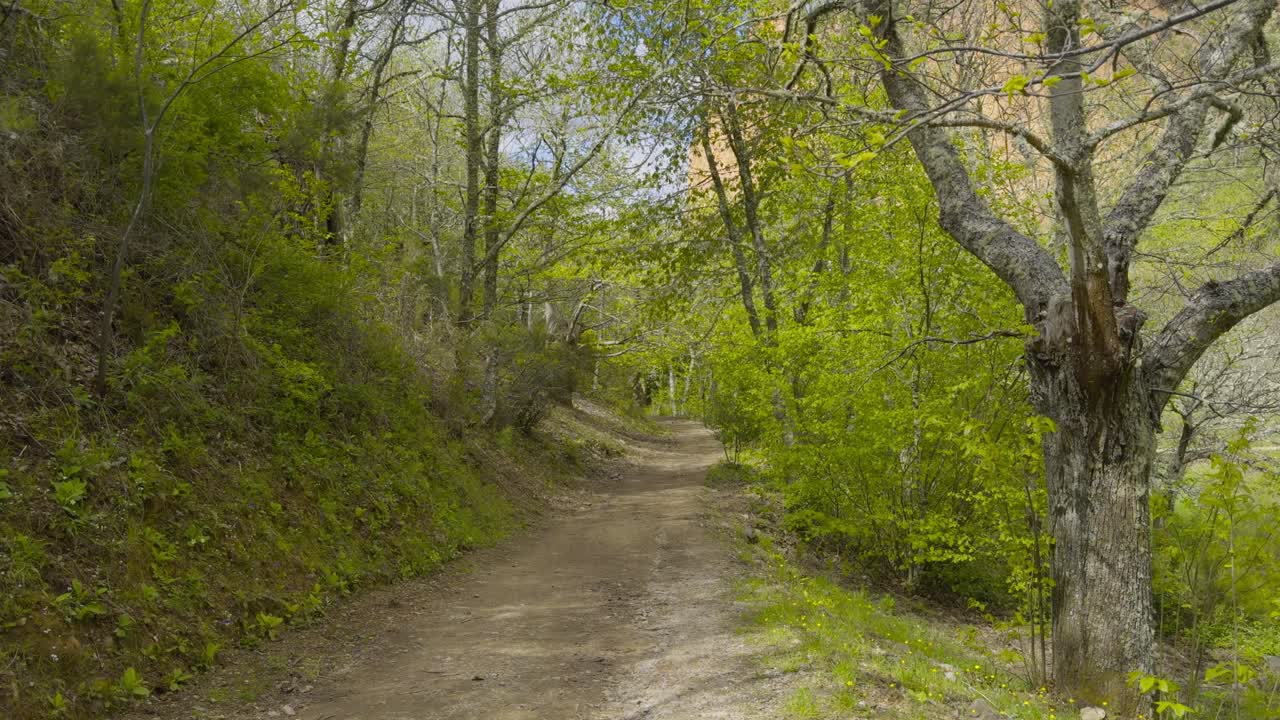 Beautiful Walking Path With Vegetation And Trees Next To The Mountains