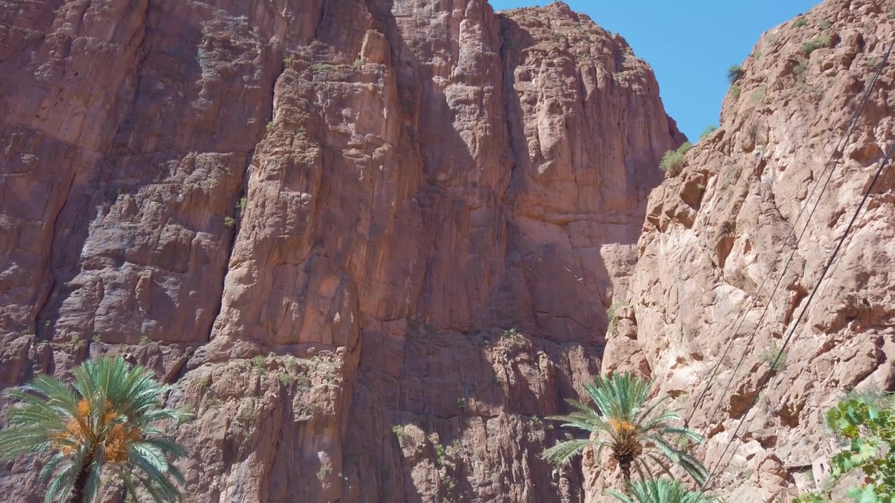 Nella Gola del Todra in Marocco, imponenti scogliere e aspre formazioni rocciose si ergono sopra un paesaggio desertico arido accentuato da palme sparse e vegetazione