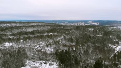 Vista-Aérea-Sobre-Los-Pinos-Del-Campo-Cubierto-De-Nieve-Durante-Los-Inviernos-Extremos