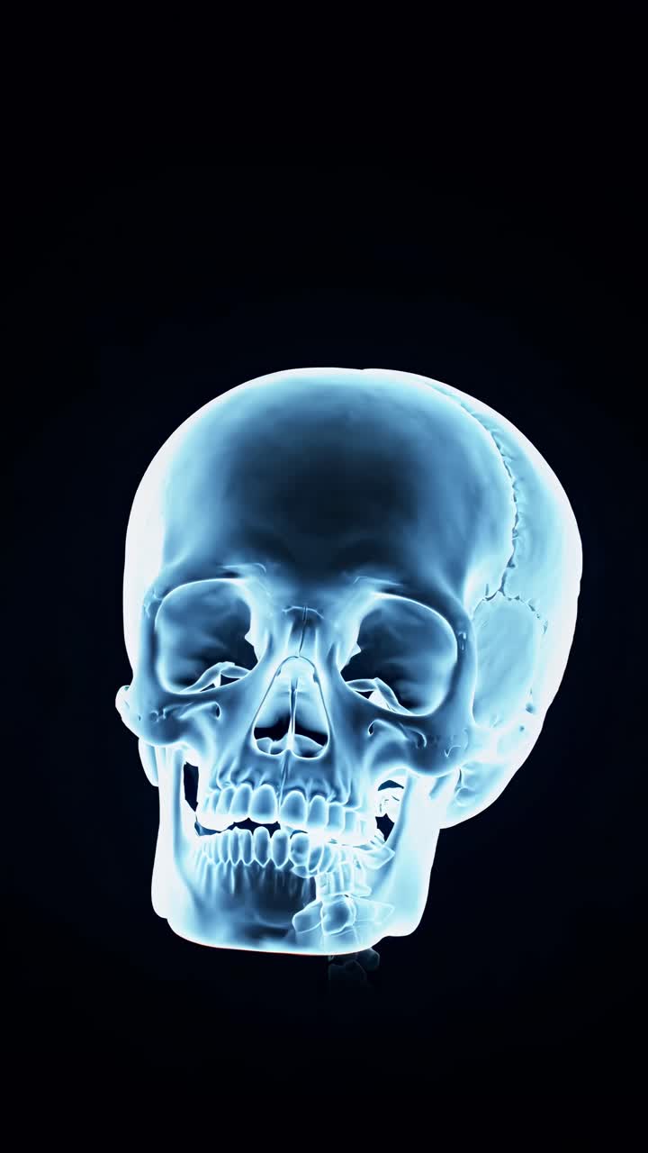 A video-style, high-angle X-ray image of a human skull, showcasing detailed bone structure