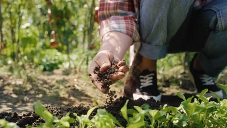 unrecognizable gardener checking the soil quality