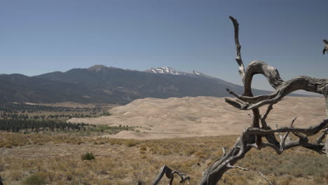 gran campo de dunas del parque nacional de las dunas de arena con montañas en el fondo