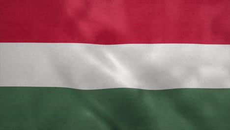 bandera nacional de hungría soplando en el viento. bucle sin costuras