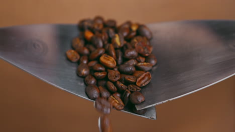 the art of coffee-making as roasted coffee beans are expertly scooped onto a graphite disk using a bbq hand shovel