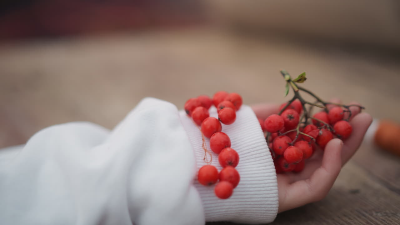 Mano con manica bianca che tiene bacche rosse su un tavolo di legno. Primo piano intimo di un piccolo grappolo che poggia sul palmo, sfondo bokeh morbido, atmosfera accogliente di raccolta autunnale, texture tattile e toni caldi, stile di vita lento.