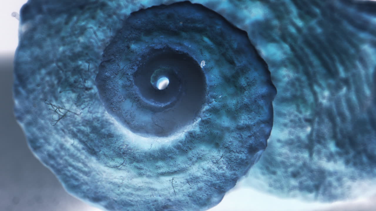 Close-up view of a decorative spiral object