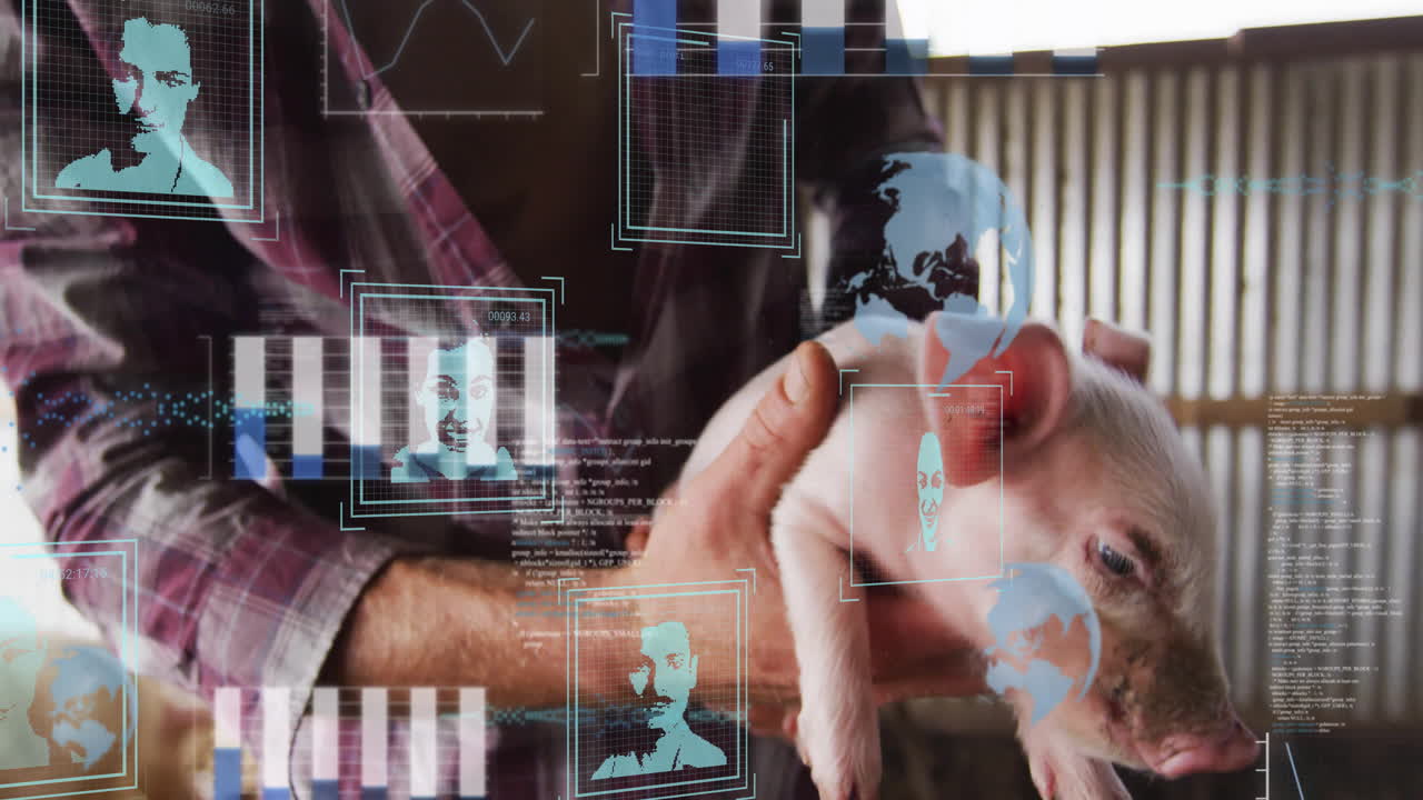 Person holding piglet with data processing animation overlaid on scene