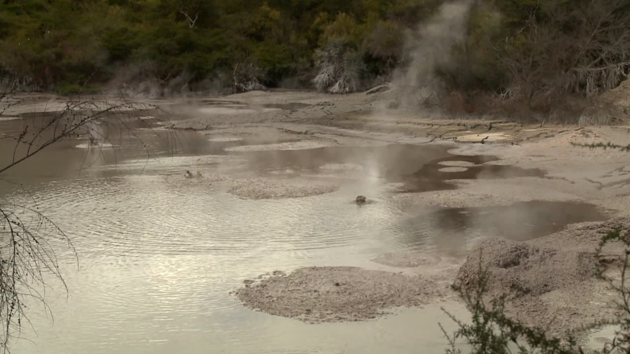 las piscinas calientes de lodo burbujeante son una característica de la región de rotorua en nueva zelanda 1