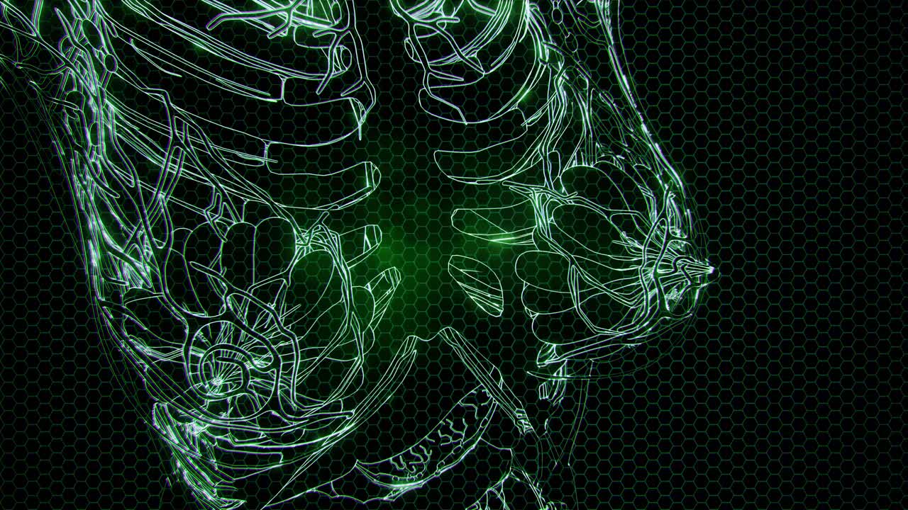 cuerpo humano transparente con huesos visibles