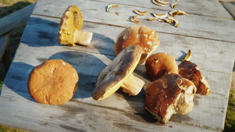 Several-Large-Edible-But-Wormy-Mushrooms-Lie-On-A-Wooden-Table