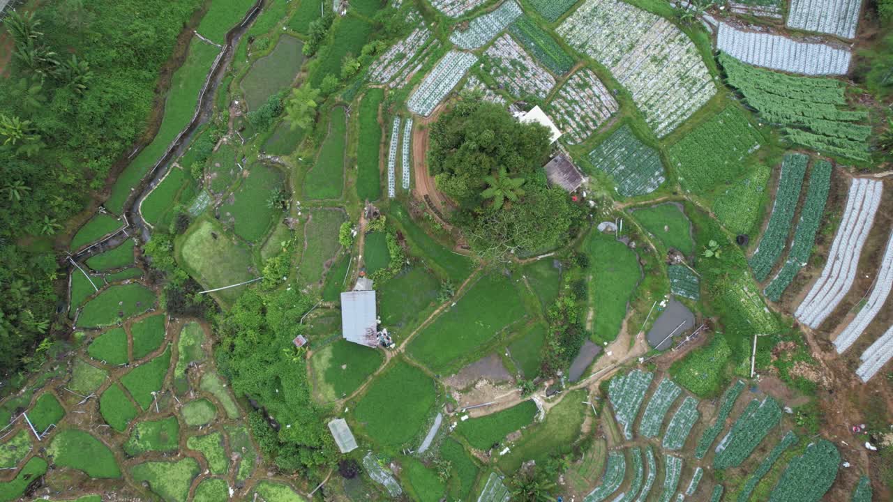 vista general del paisaje del distrito de brinchang dentro del área de cameron highlands de malasia