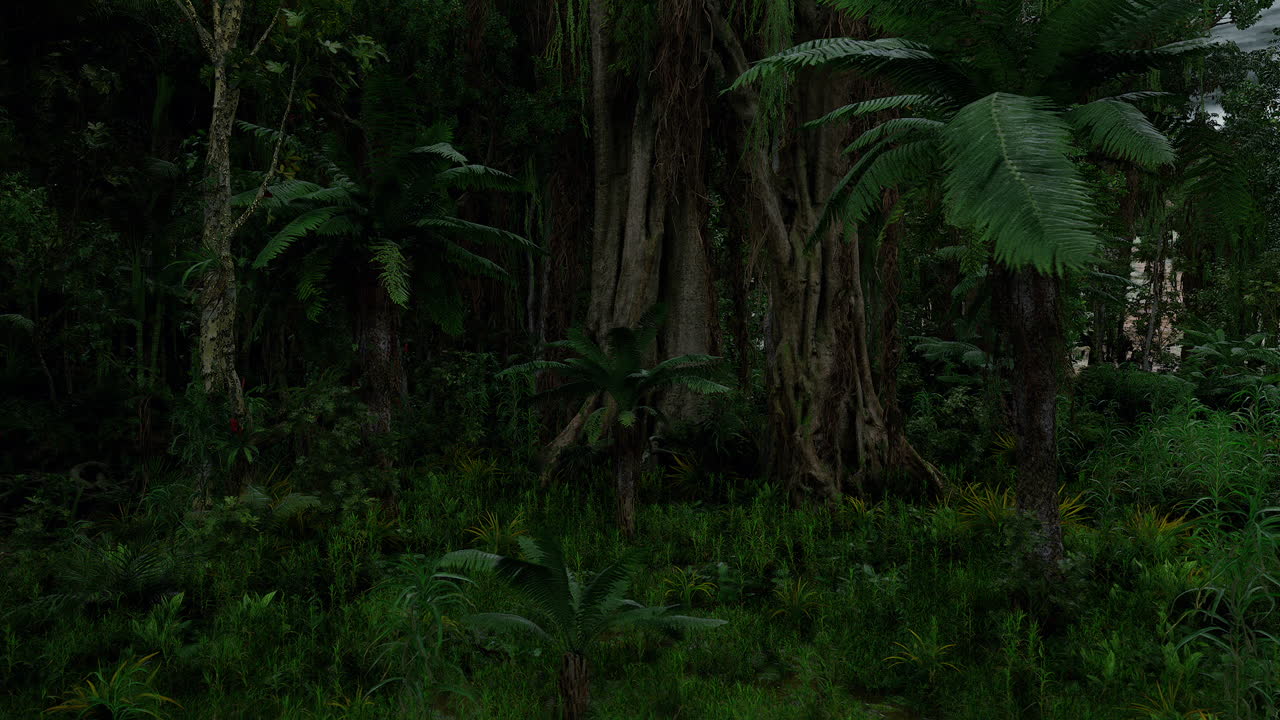 Lussureggiante foresta pluviale tropicale con vegetazione densa e alberi imponenti.