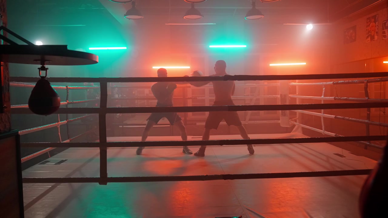 To boksere skyggebokser i en mørk ring med neonlys
