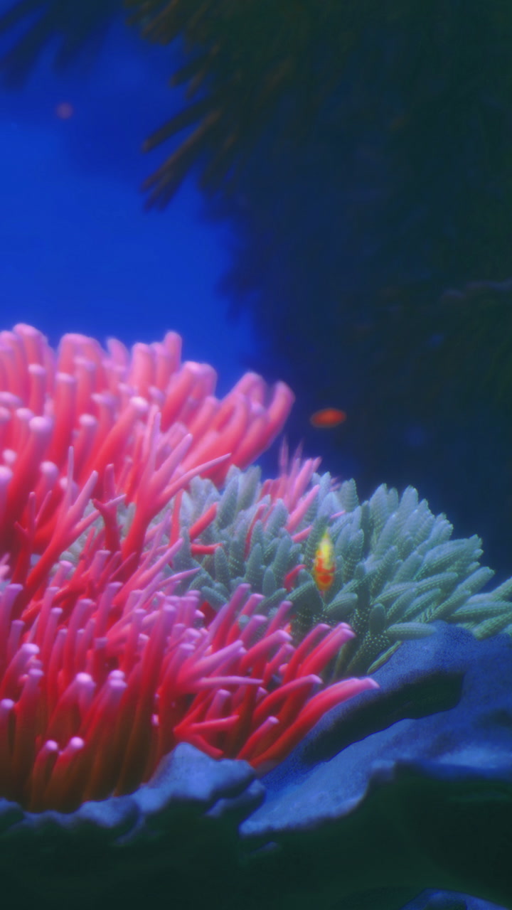 Vibrant coral reef teeming with life in a crystal clear ocean
