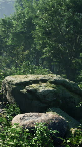 escena del bosque sereno con rocas de musgo