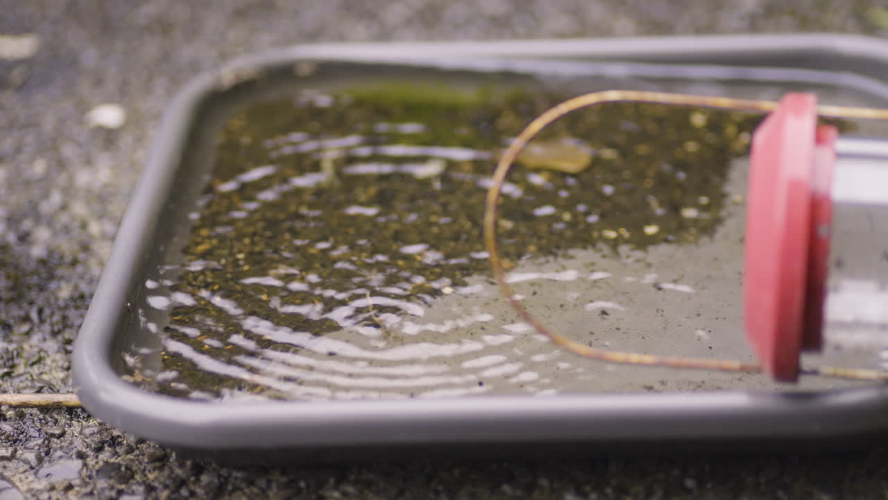 Raindrops Falling On Tray With Puddle Of Water Outdoor. closeup shot