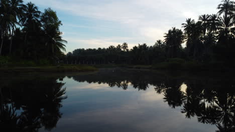 Vista-Aérea-Hacia-Adelante-A-Nivel-Del-Suelo-De-Un-Lago-Magnético-En-Medio-De-Una-Extensión-De-Palmeras