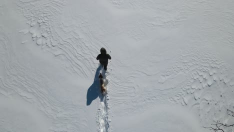 winter friendship with dog