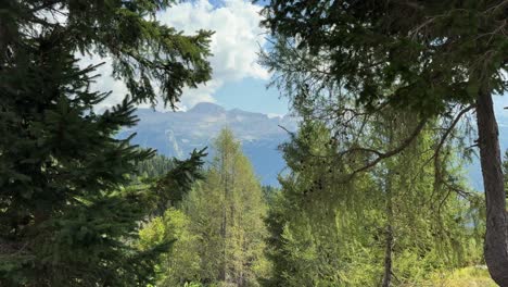 vista de las montañas en los alpes bien enmarcadas por árboles