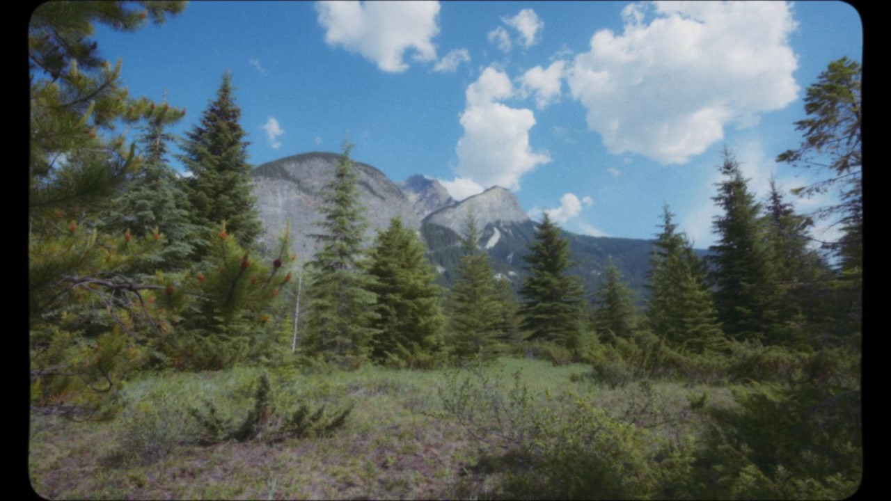 Rocky Mountains peaks and green meadow